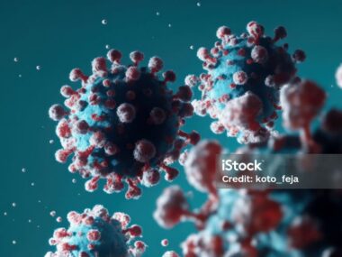 An image provides a close-up view of a virus.