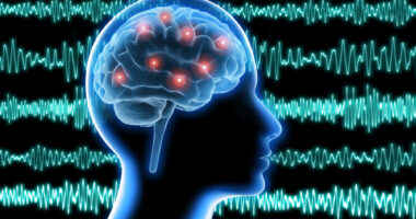 Brain waves serve as the backdrop to a human head, seen in profile, showing electrical impulses in the brain.